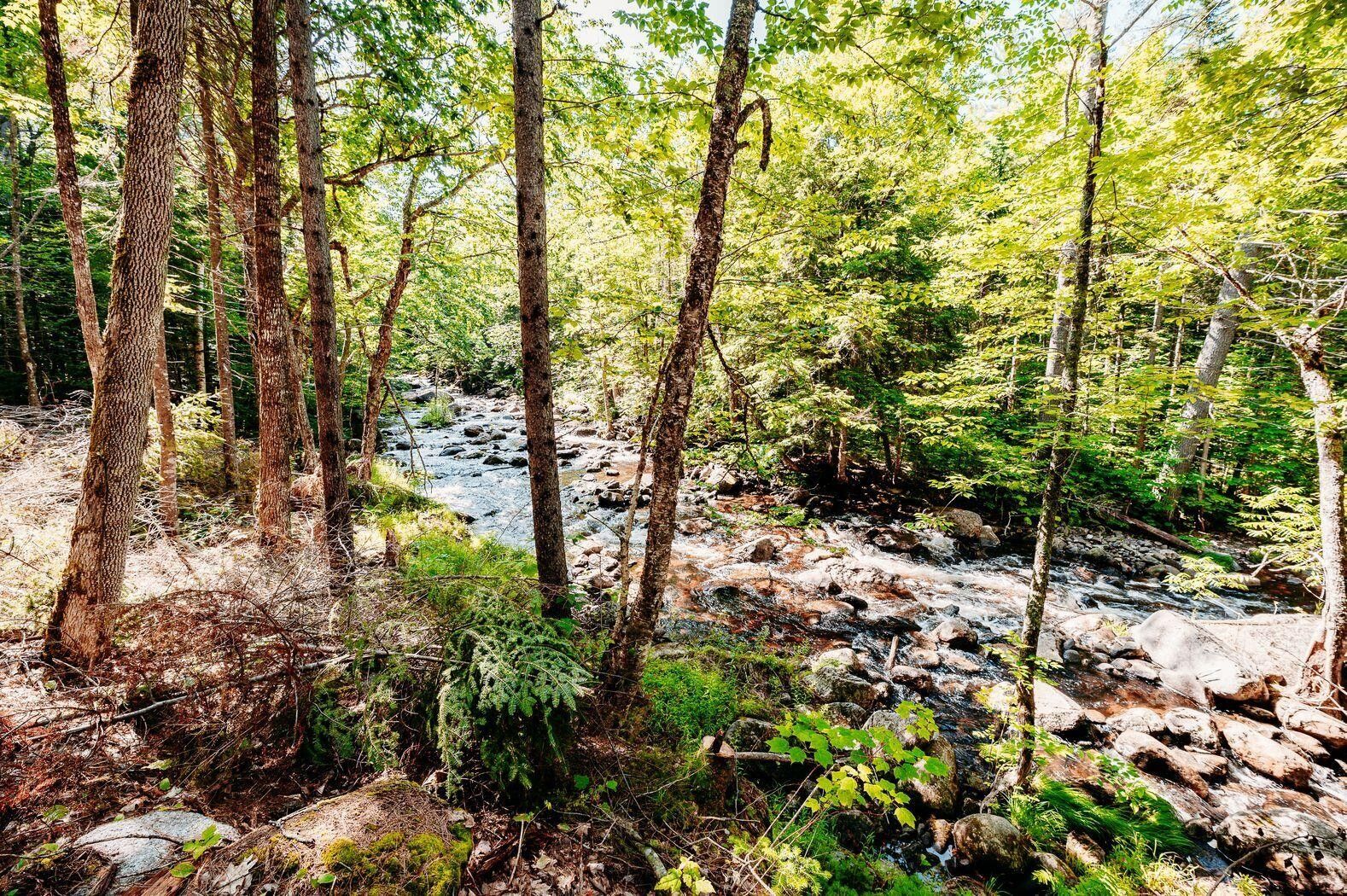 10 acres in Franklin County, Maine