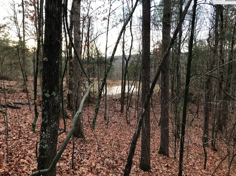 160 acres in Pope County, Arkansas