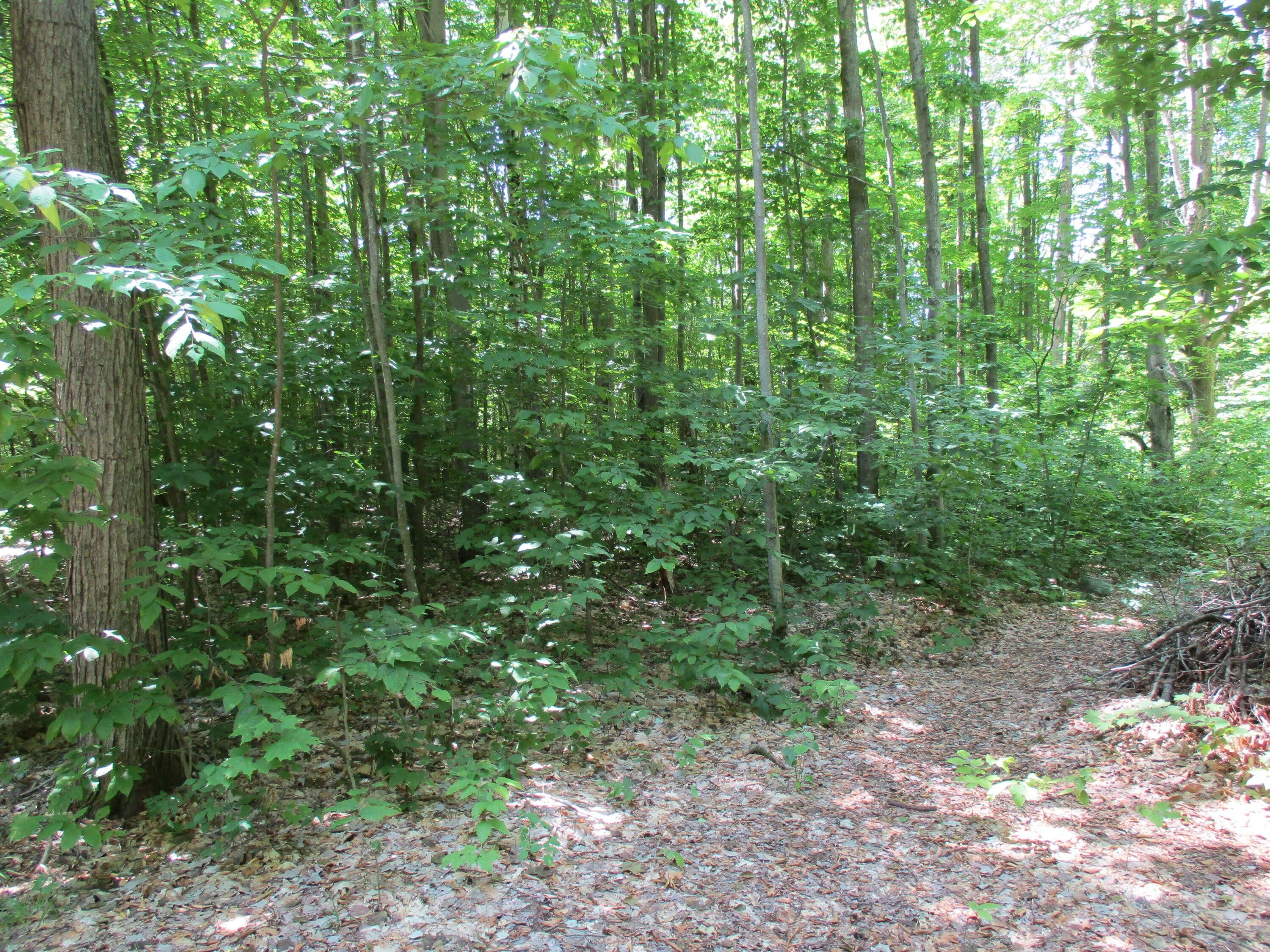 15 acres in Crawford County, Michigan