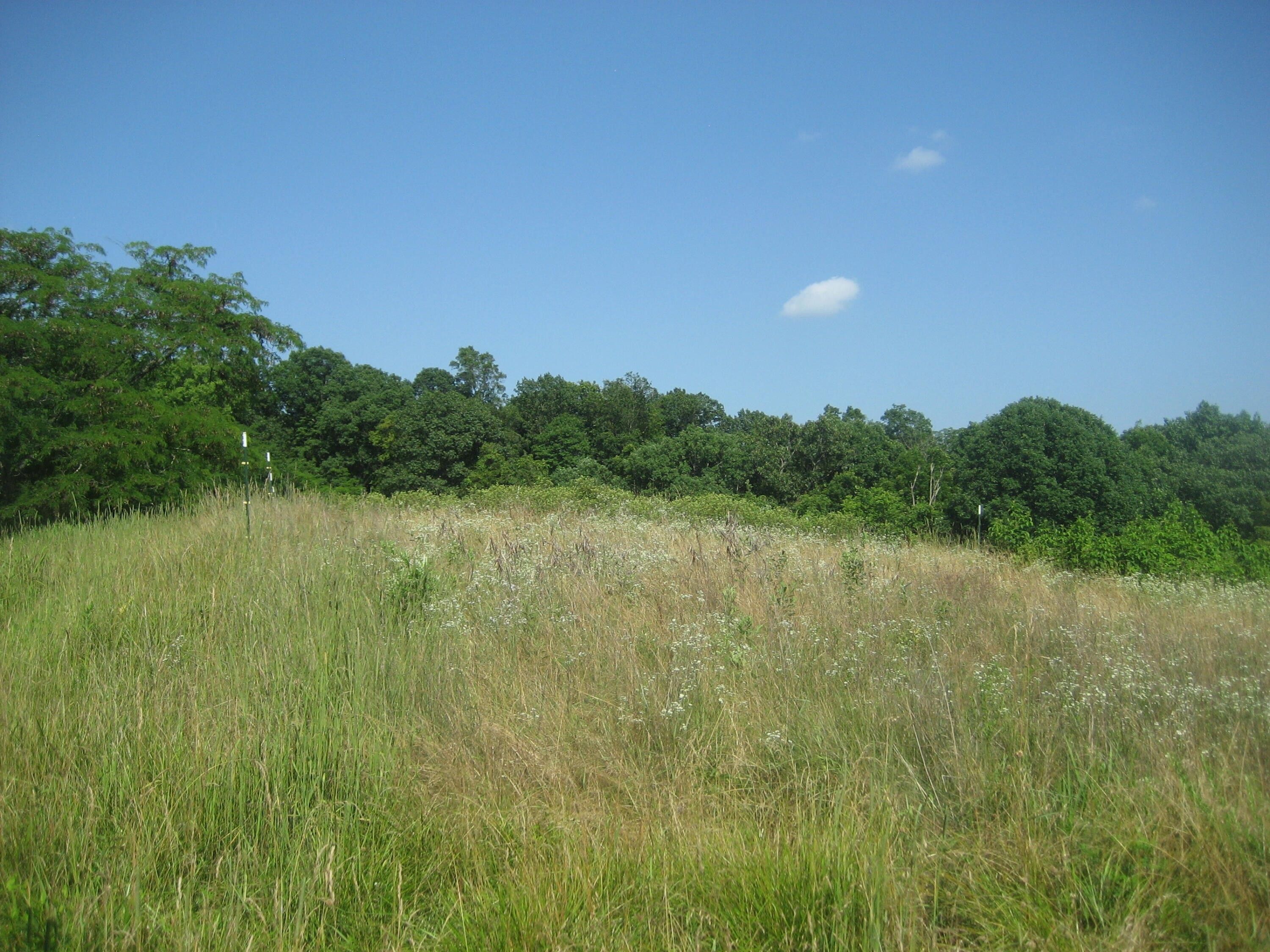 120 acres in Grant County, Kentucky