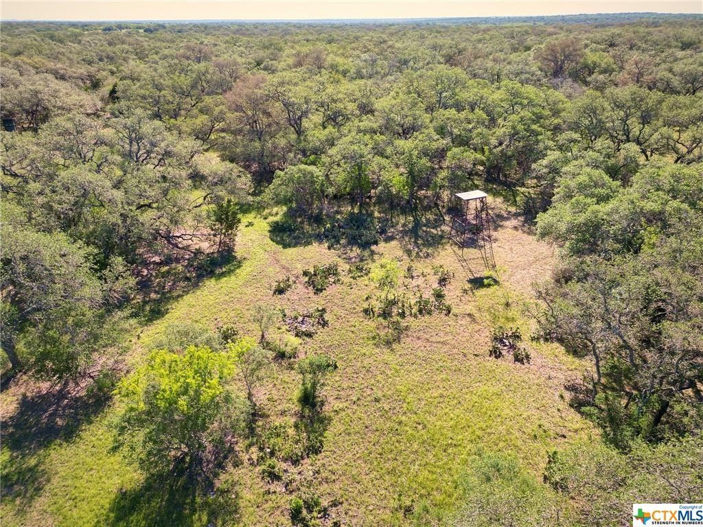 15 acres in Medina County, Texas