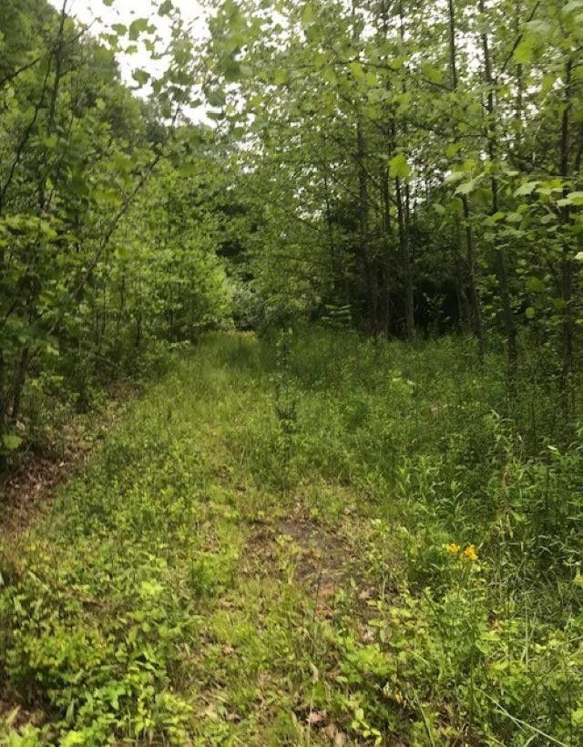 23.43 acres in Wayne County, West Virginia