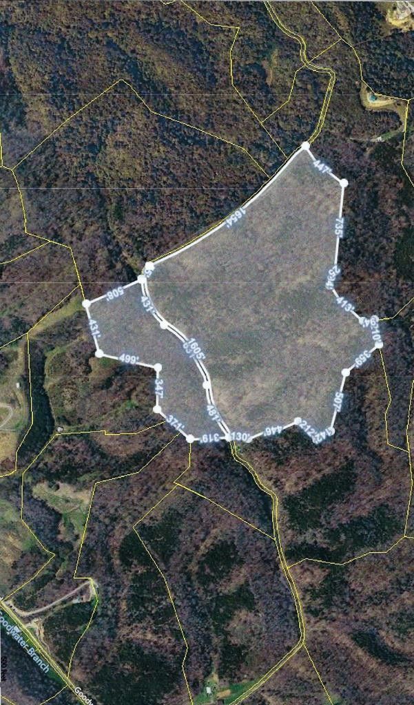 78.5 acres in Cocke County, Tennessee
