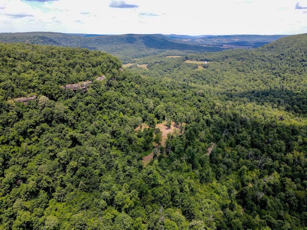97 acres in Carroll County, Arkansas