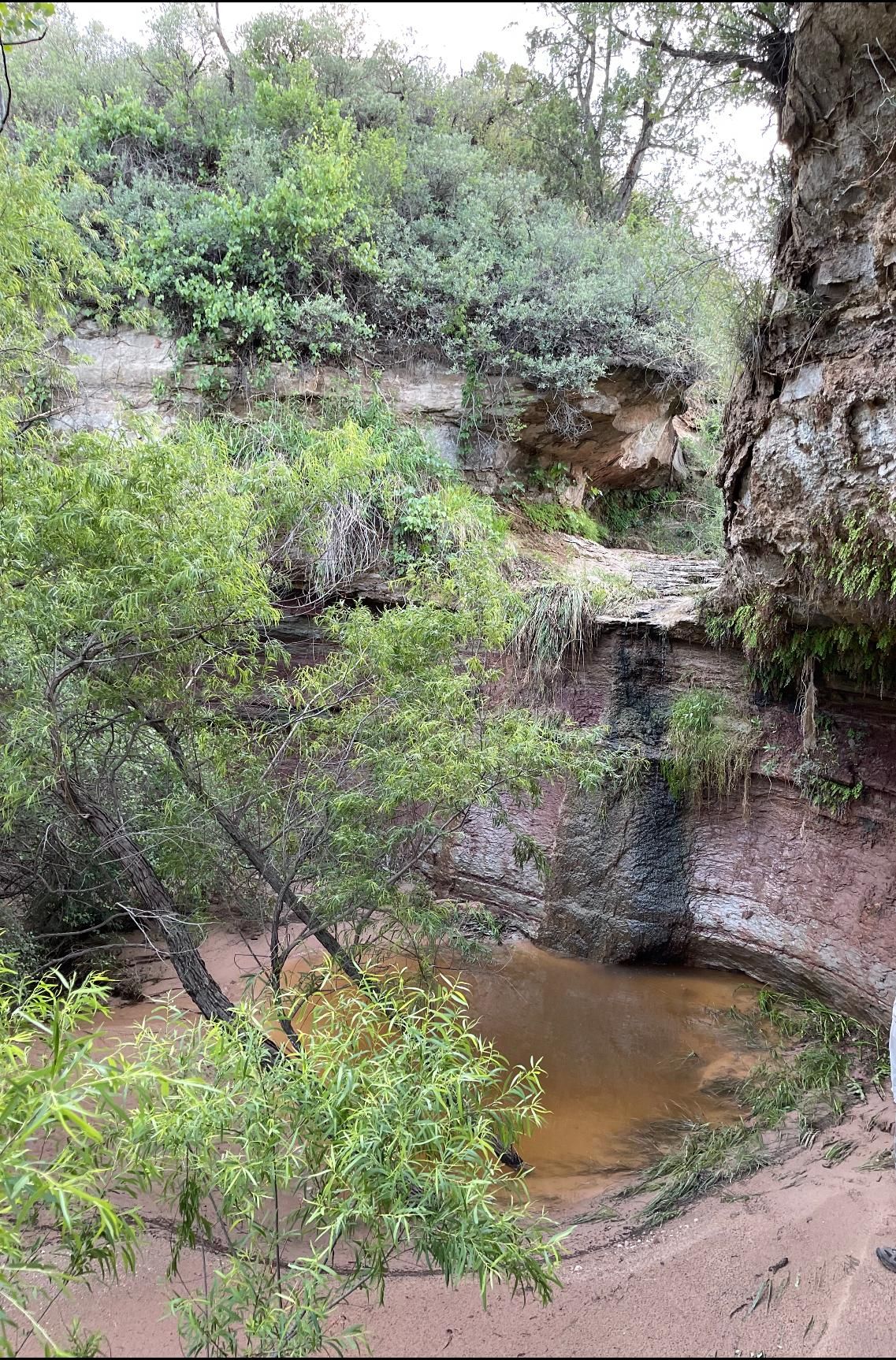 1,169 acres in Floyd County, Texas