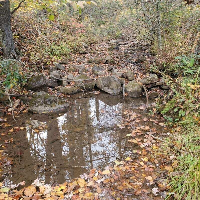 220 acres in Bath County, Virginia