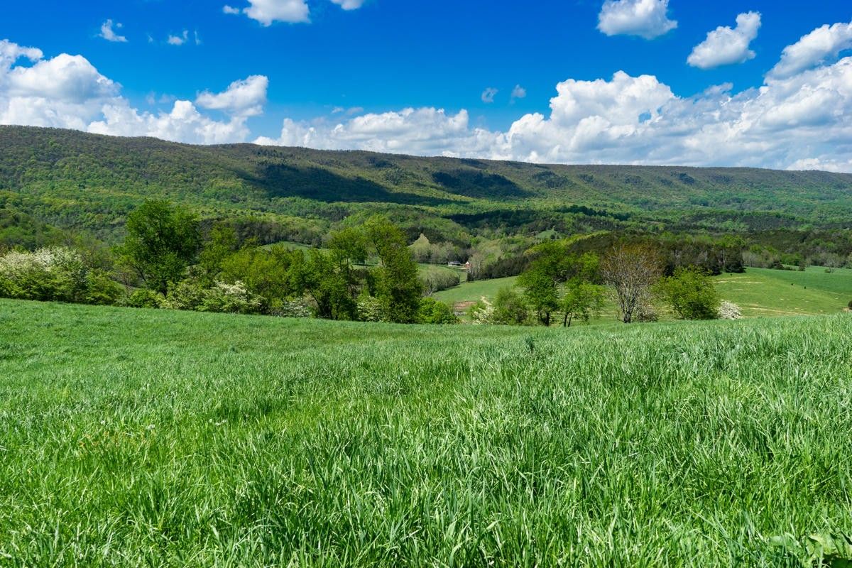 139.14 acres in Rockbridge County, Virginia