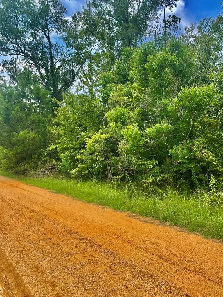 2 acres in Pike County, Mississippi