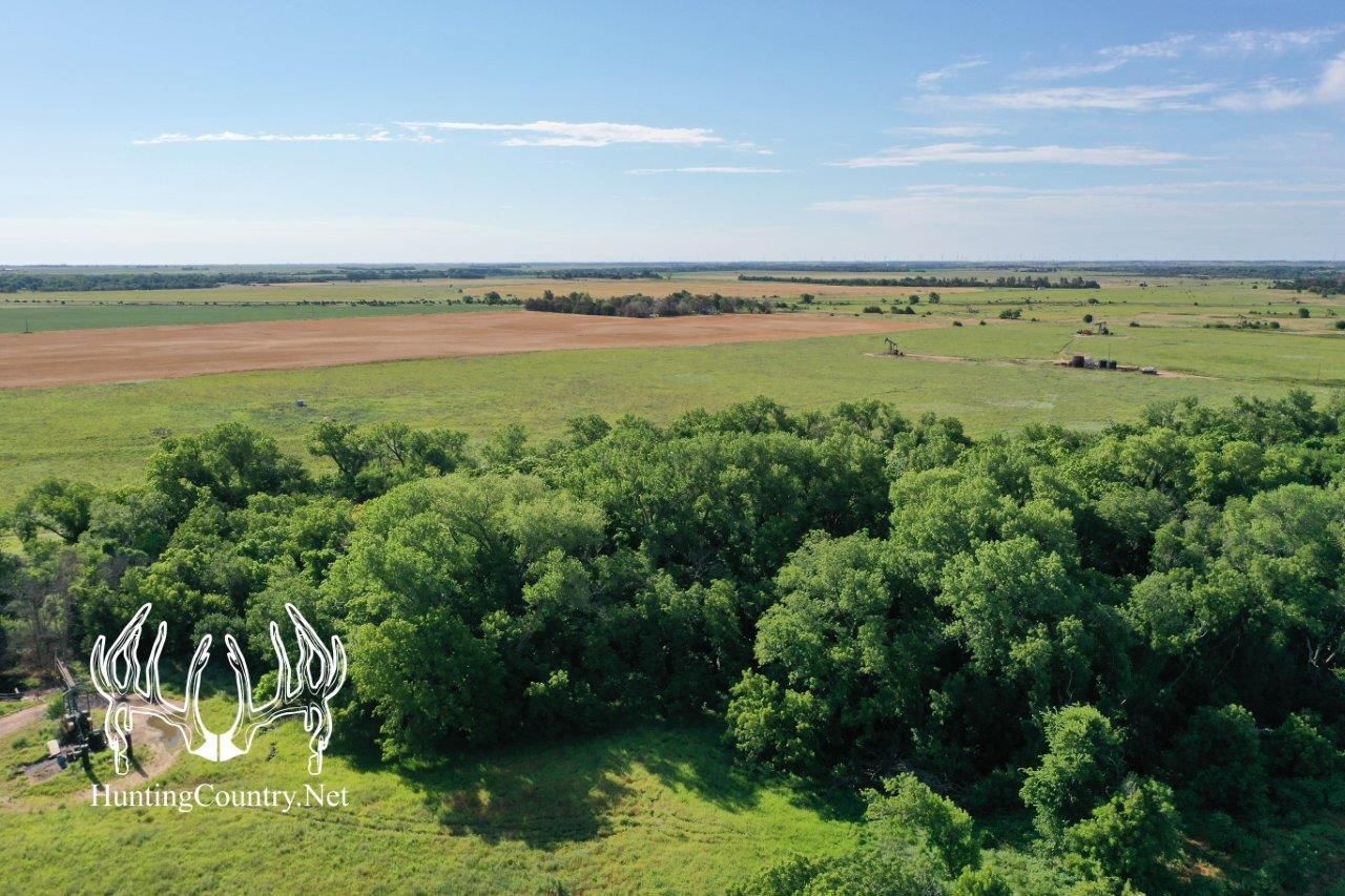 79 acres in Pratt County, Kansas