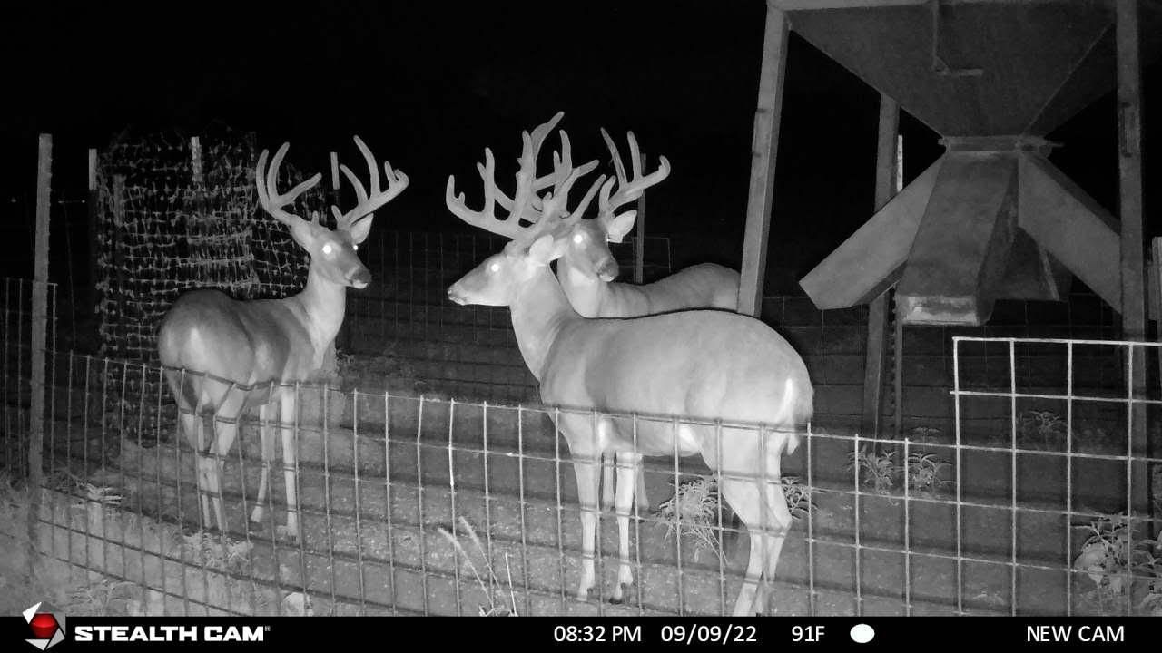 480 acres in Dimmit County, Texas