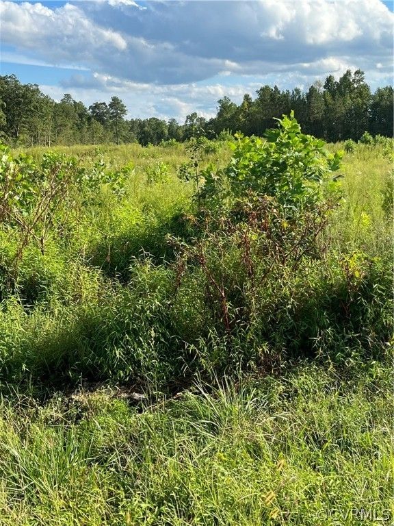 5 acres in Sussex County, Virginia