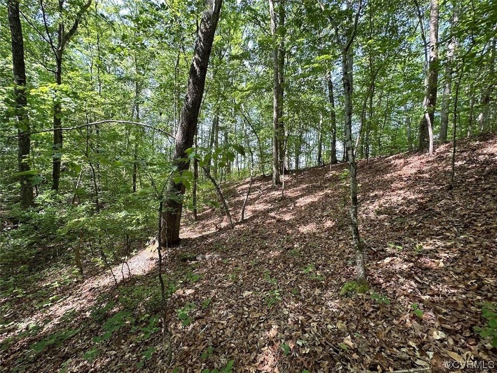 55.5 acres in Prince County, Virginia