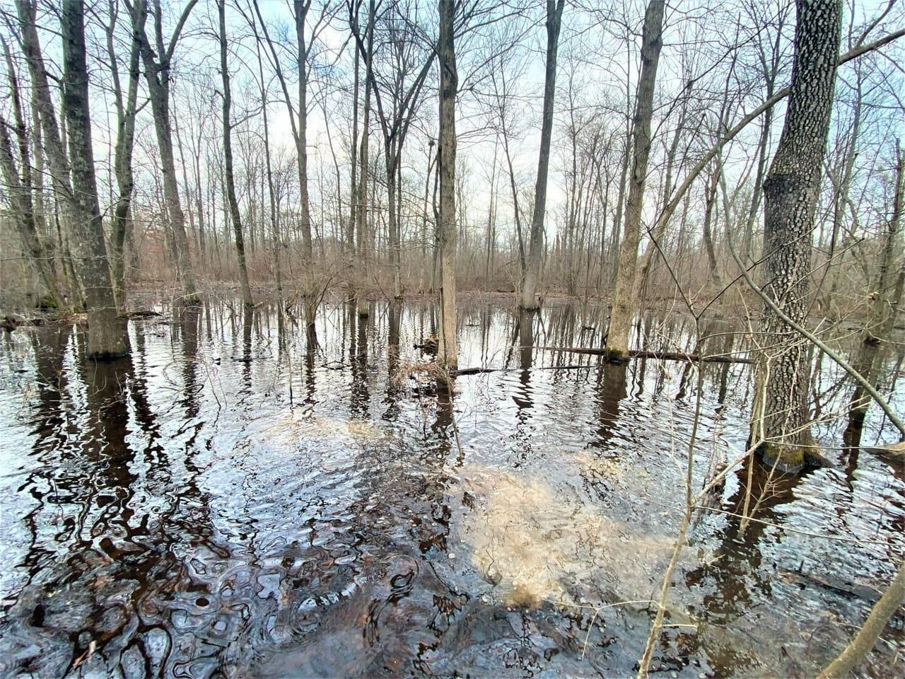 320 acres in Cross County, Arkansas