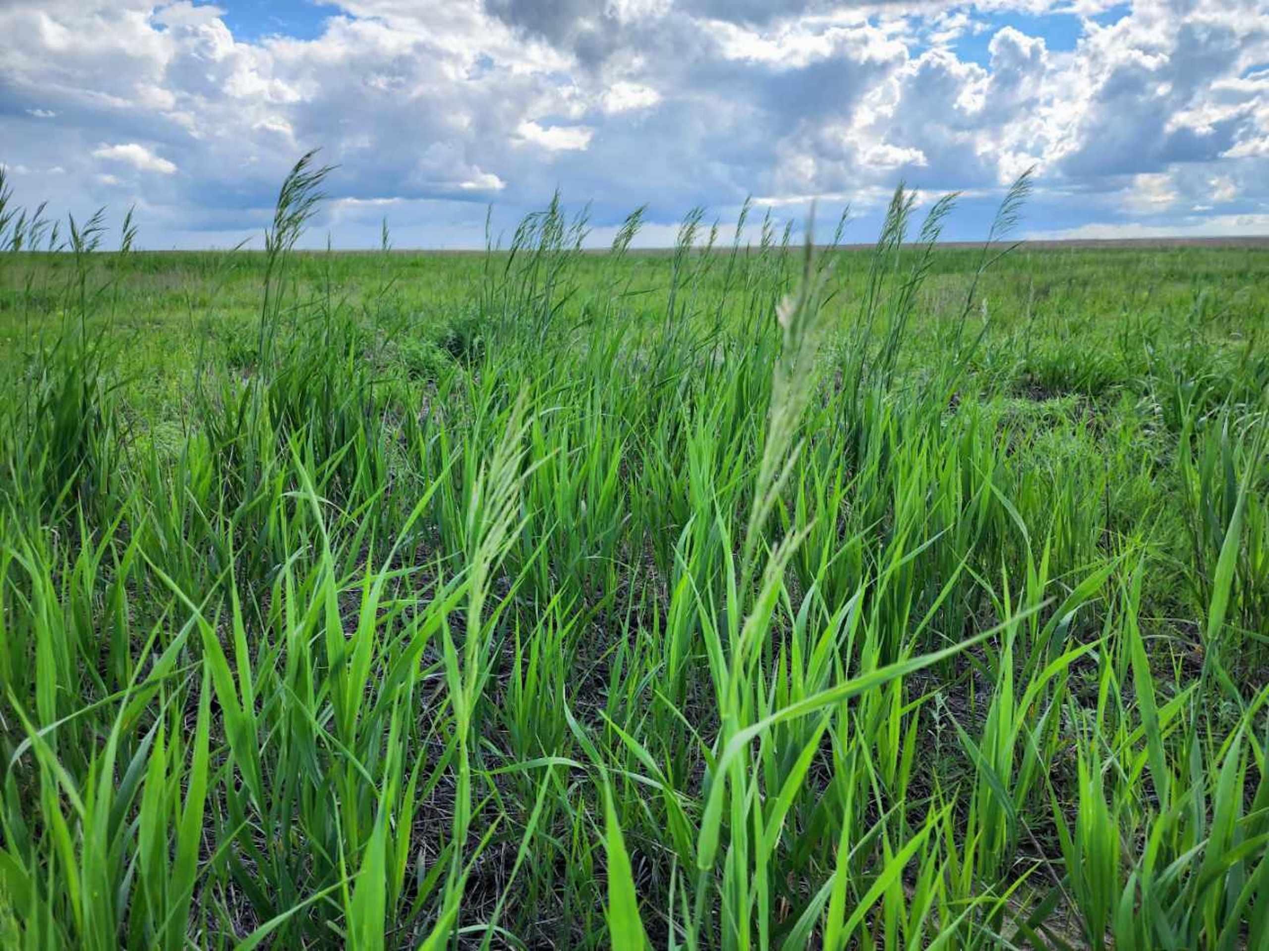 80 acres in Washington County, Colorado