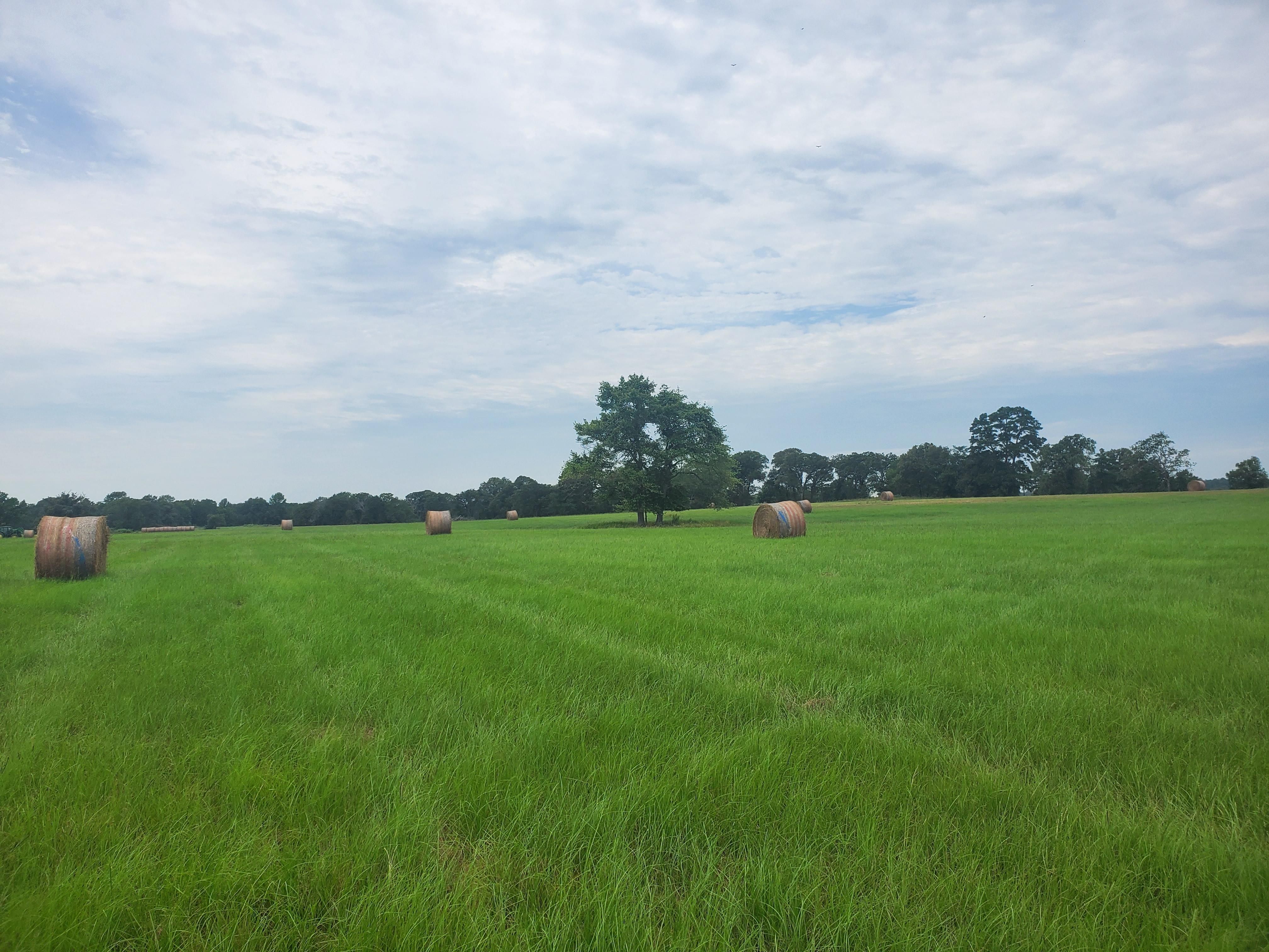 60 acres in Henderson County, Texas