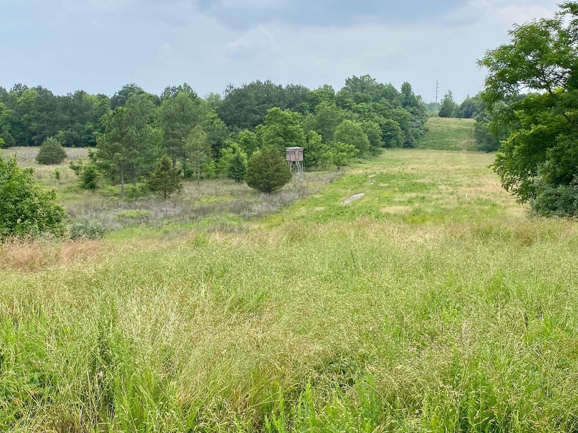 114.38 acres in Muhlenberg County, Kentucky