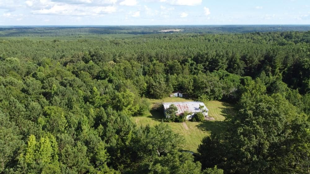 40 acres in Randolph County, Alabama