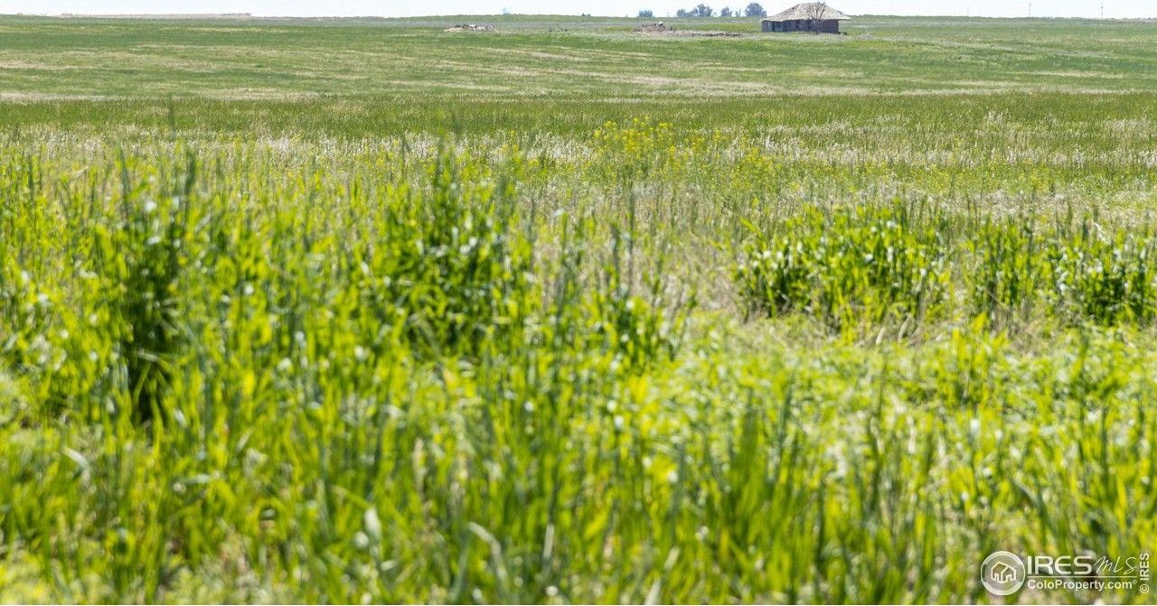 40.5 acres in Weld County, Colorado