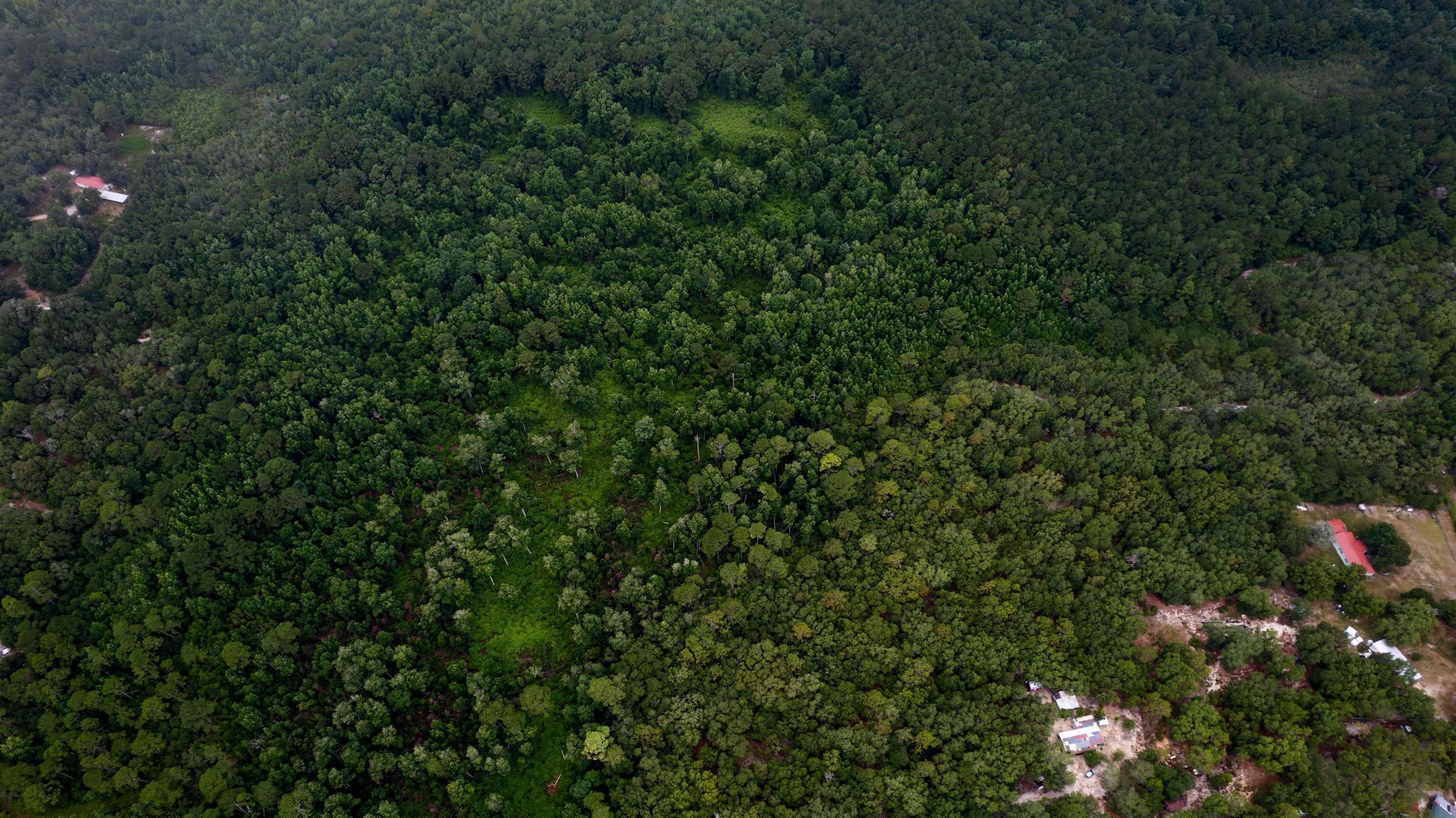 36 acres in Atkinson County,