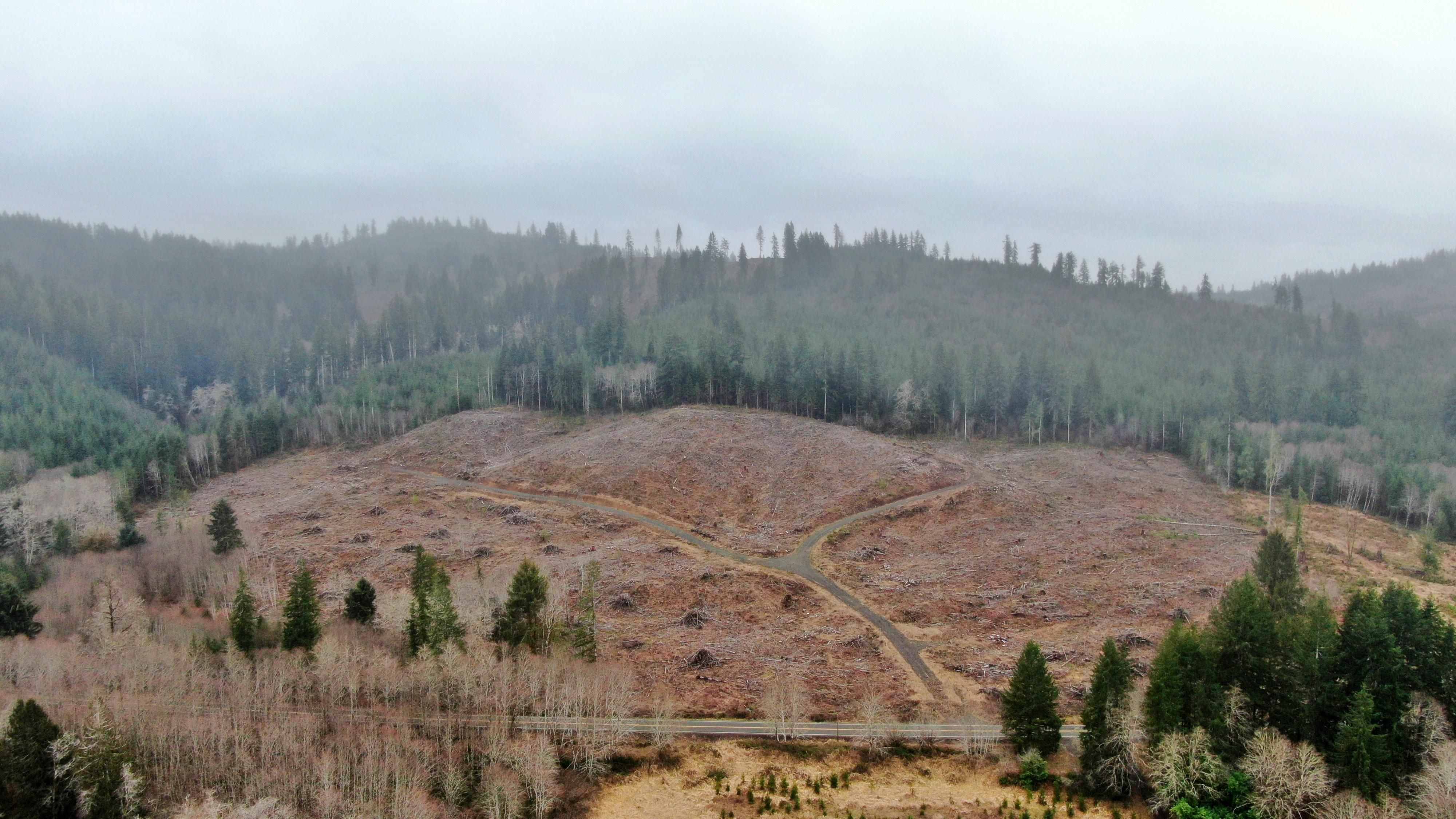 33 acres in Pacific County, Washington
