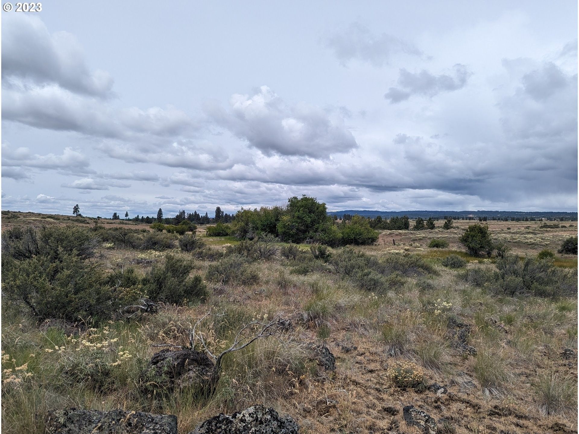 82 acres in Klickitat County, Washington