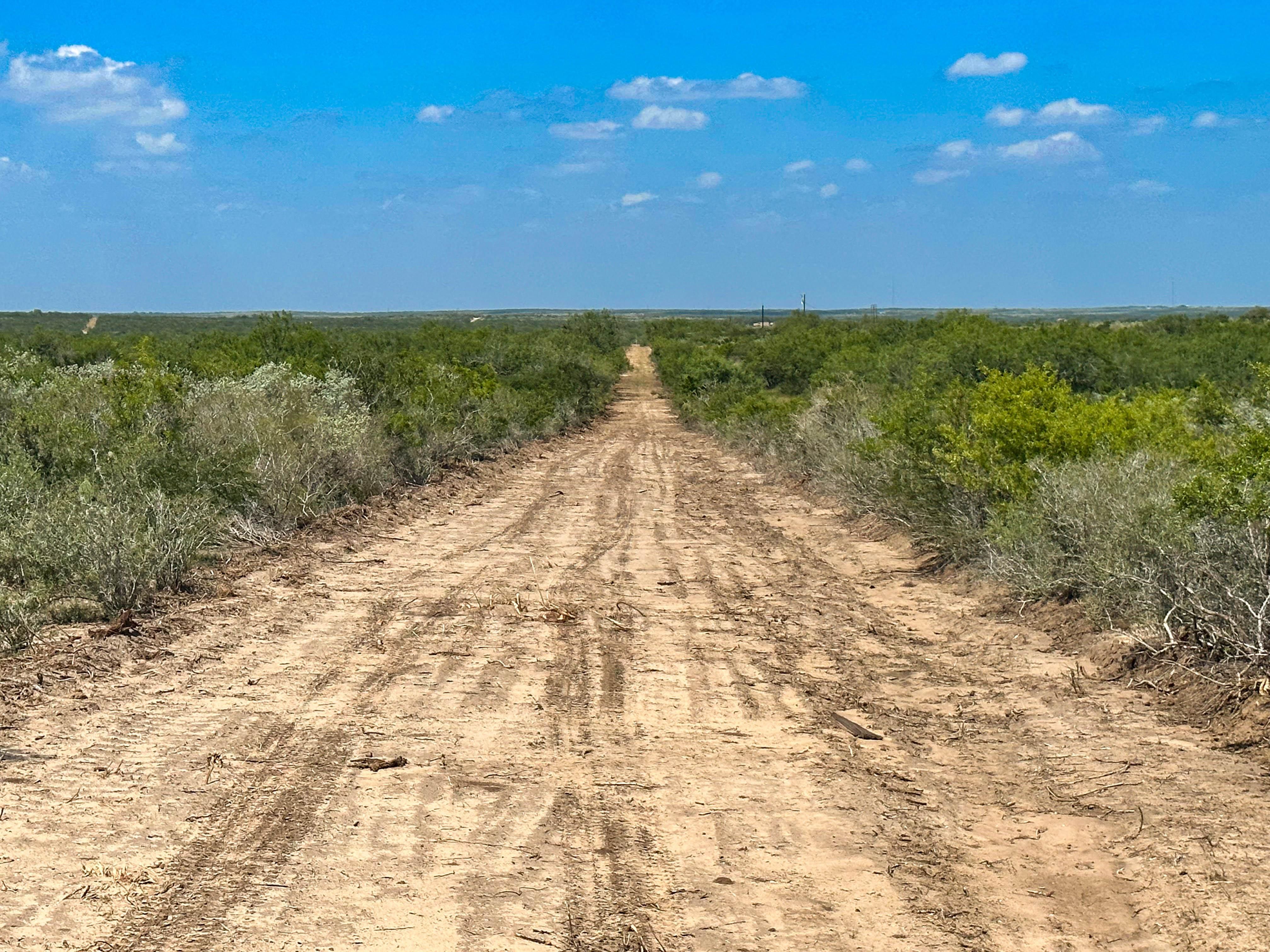 181 acres in Duval County, Texas