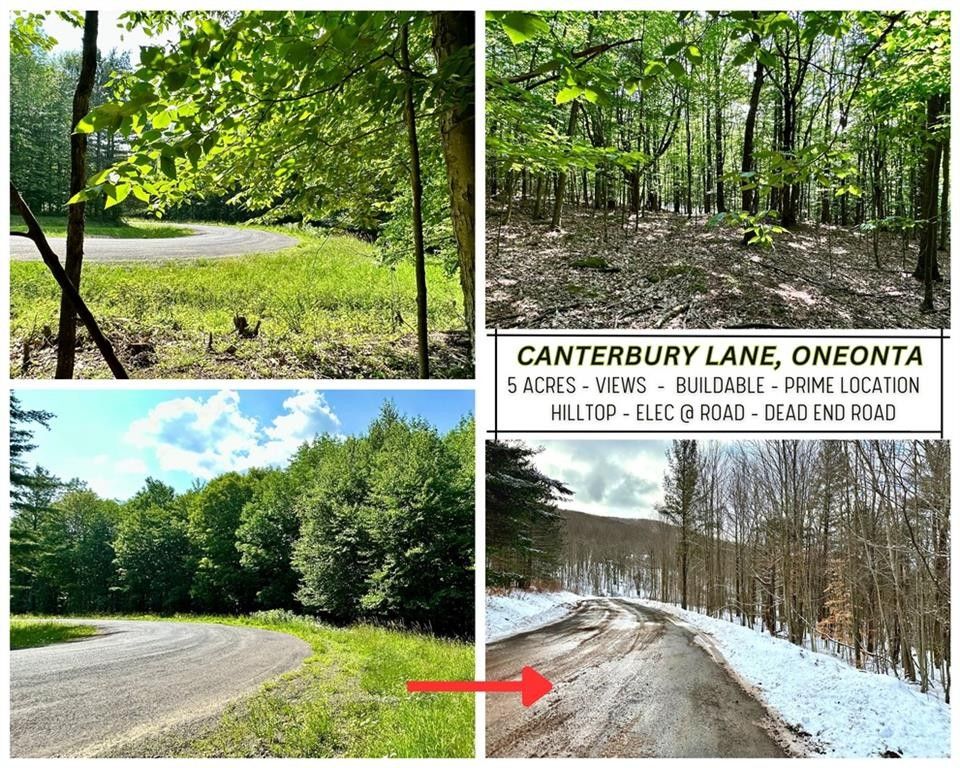 5.1 acres in Delaware County, New York