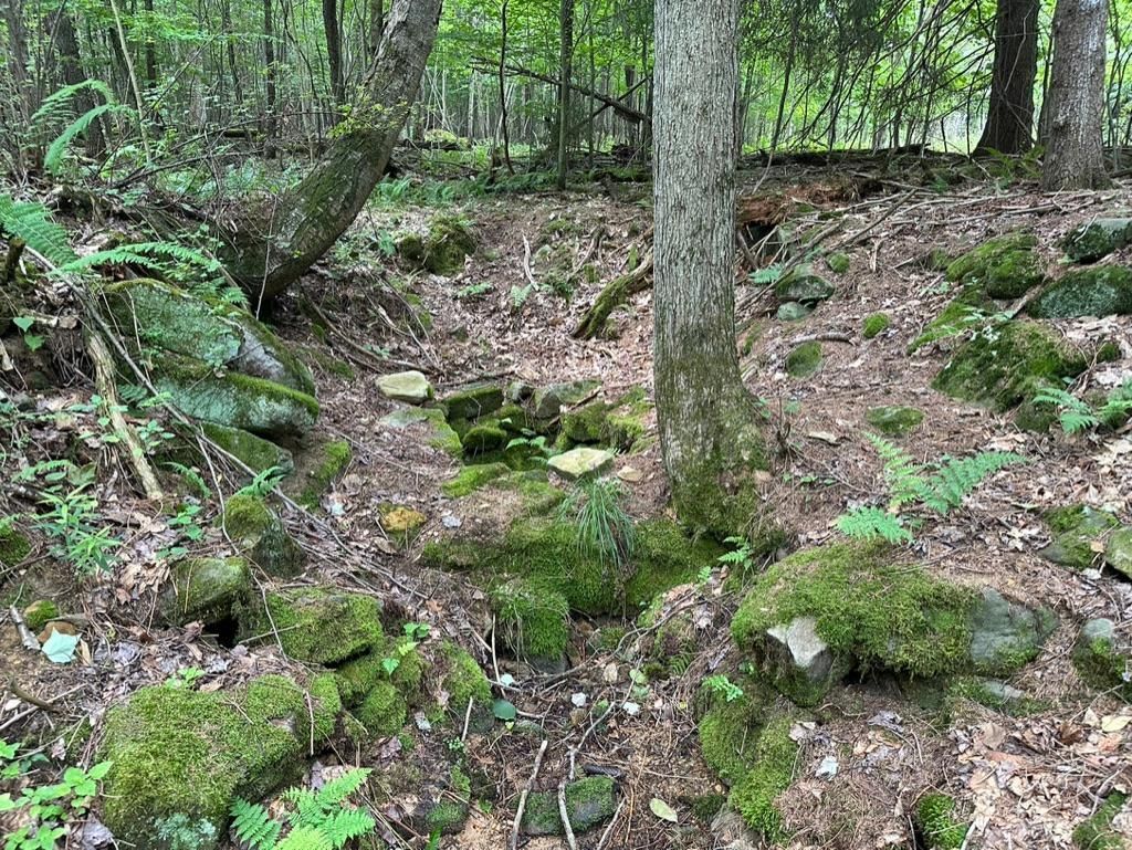 15 acres in Elk County, Pennsylvania