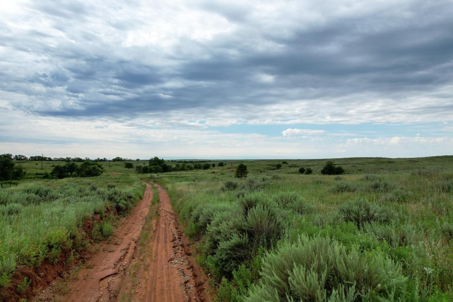 316 acres in Shamrock, TX, 79079