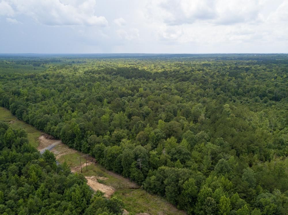 160 acres in Hot Spring County, Arkansas