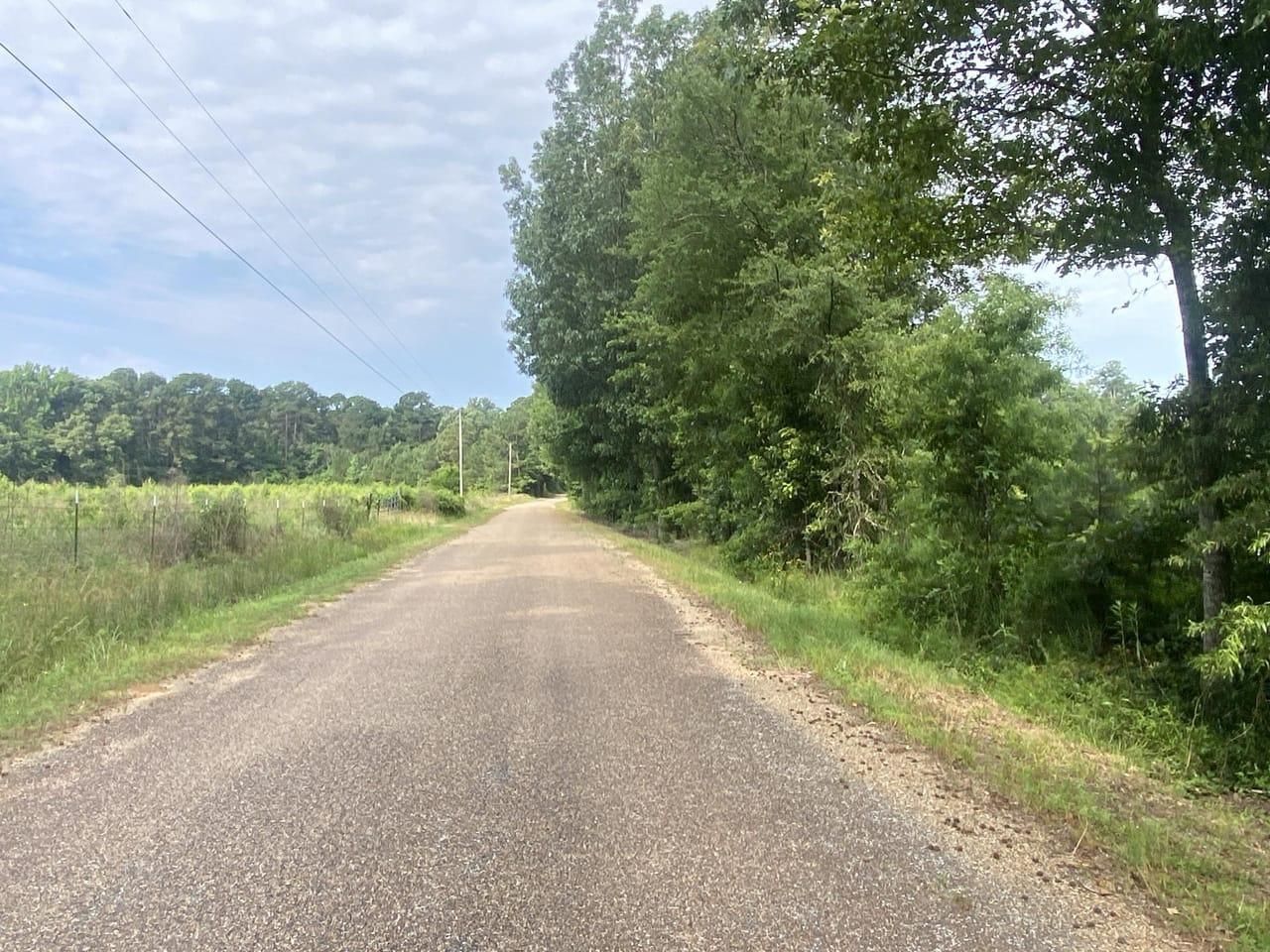 20 acres in Lafayette County, Arkansas