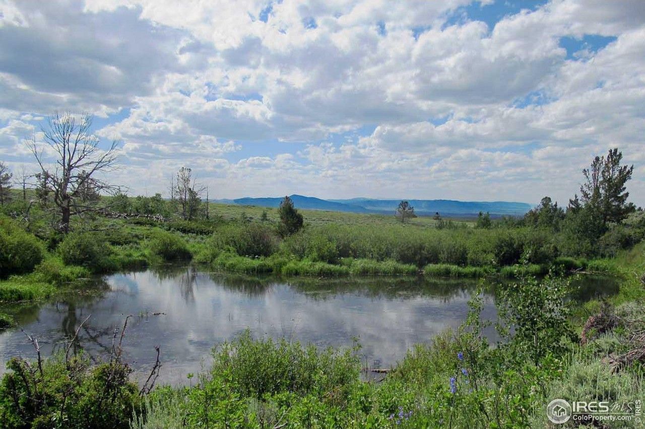 40 acres in Larimer County, Colorado
