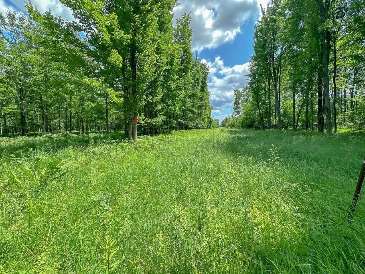 40.44 acres in Isabella County, Michigan