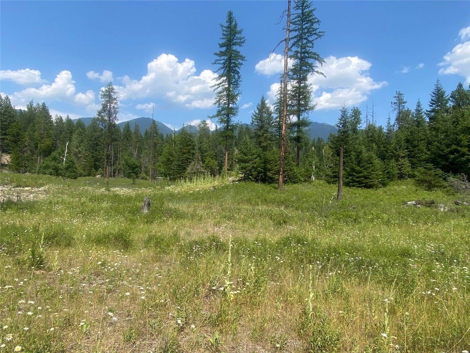 4.5 acres in Flathead County, Montana