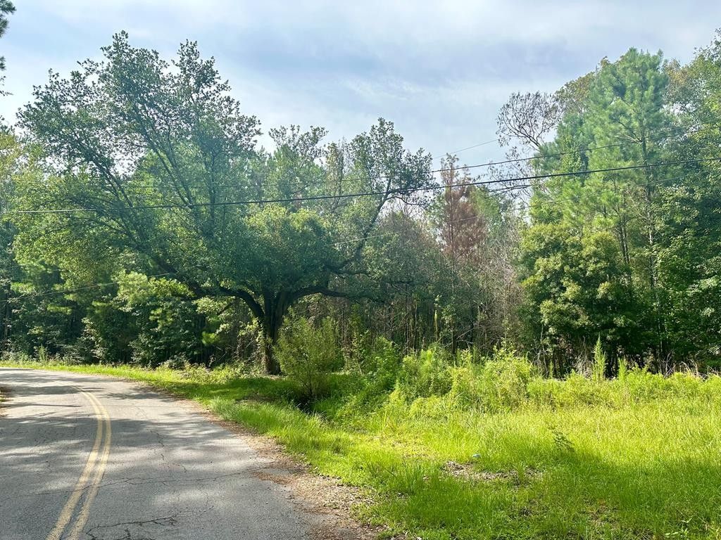 1 acres in Pearl River County, Mississippi