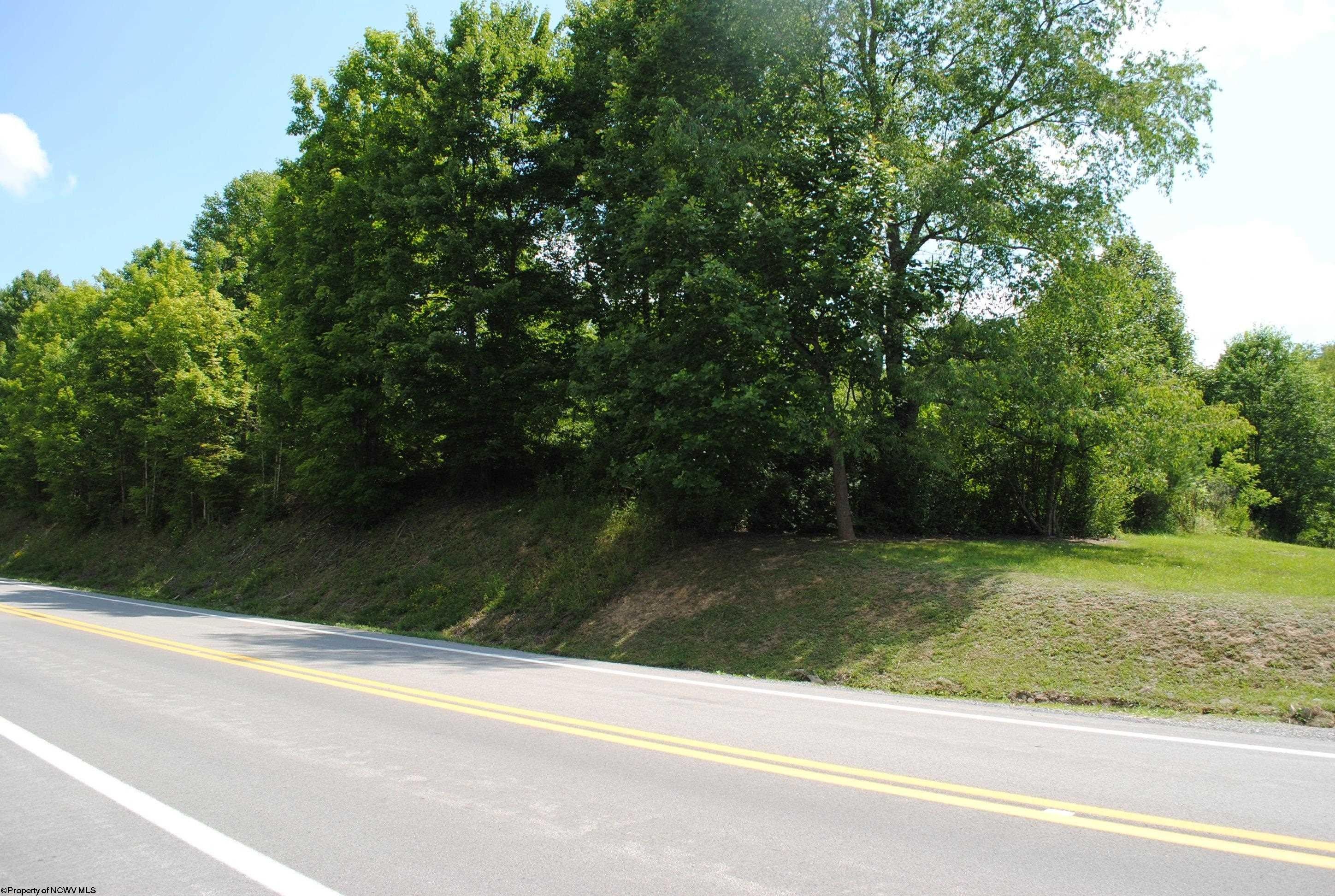 11.8 acres in Barbour County, West Virginia