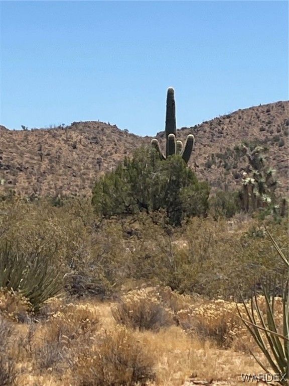39 acres in Mohave County, Arizona