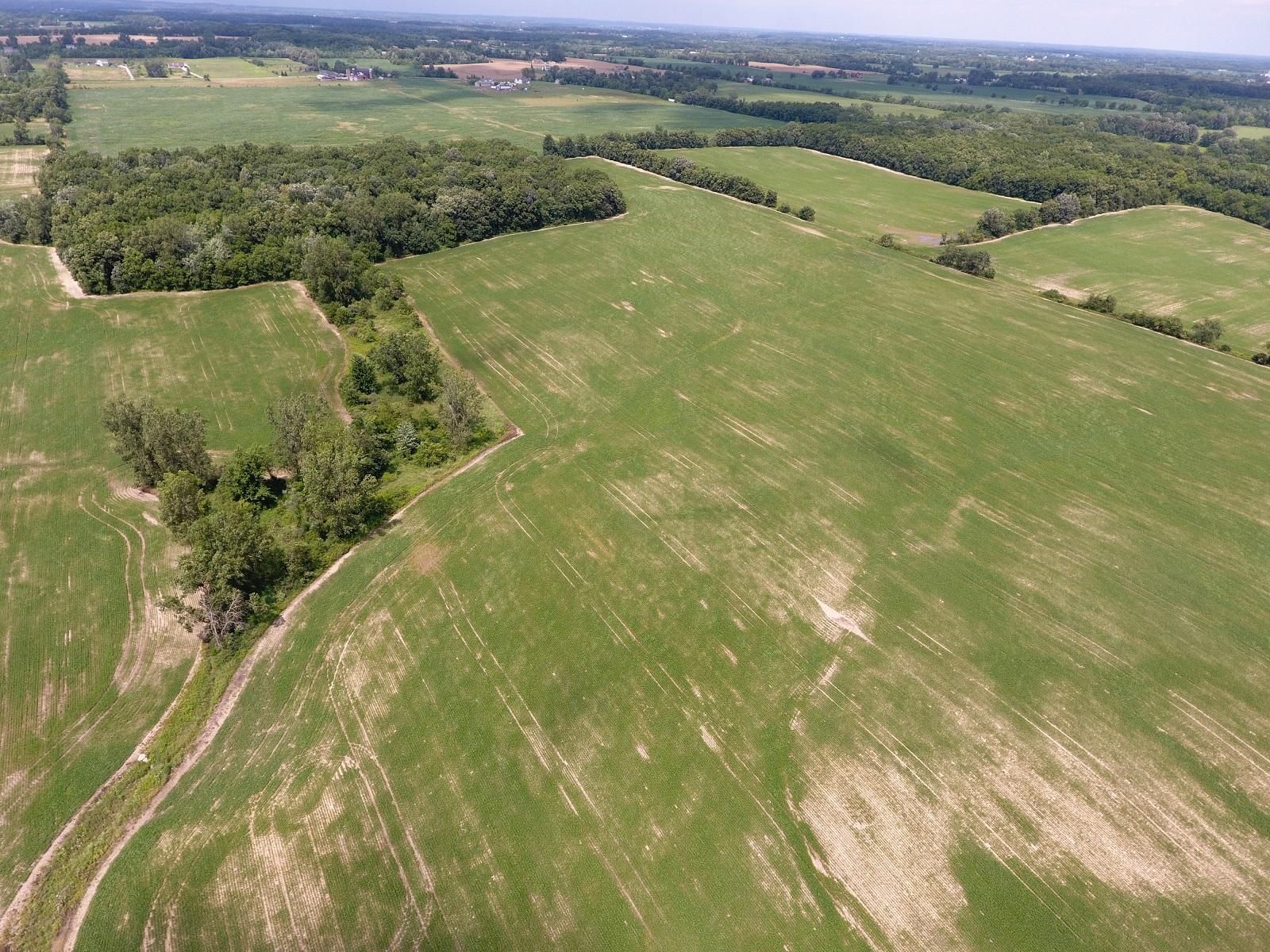 158 acres in Lenawee County, Michigan