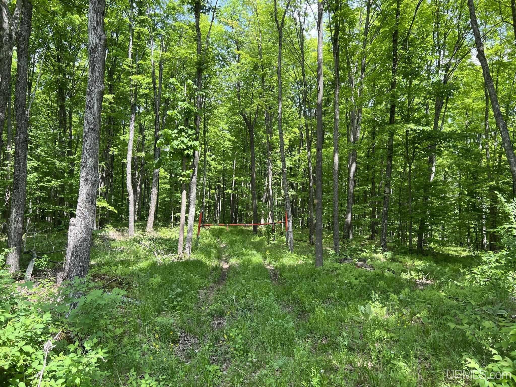 40 acres in Iron County, Michigan