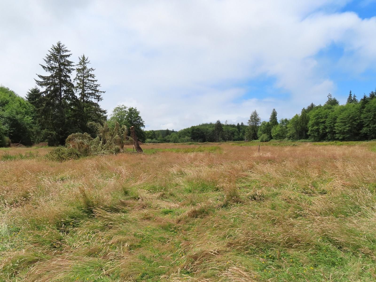 69 acres in Pacific County, Washington