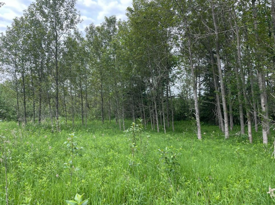 27 acres in Ogemaw County, Michigan
