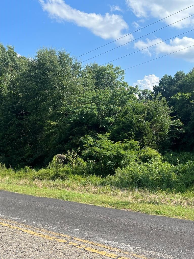 3 acres in Pike County, Alabama