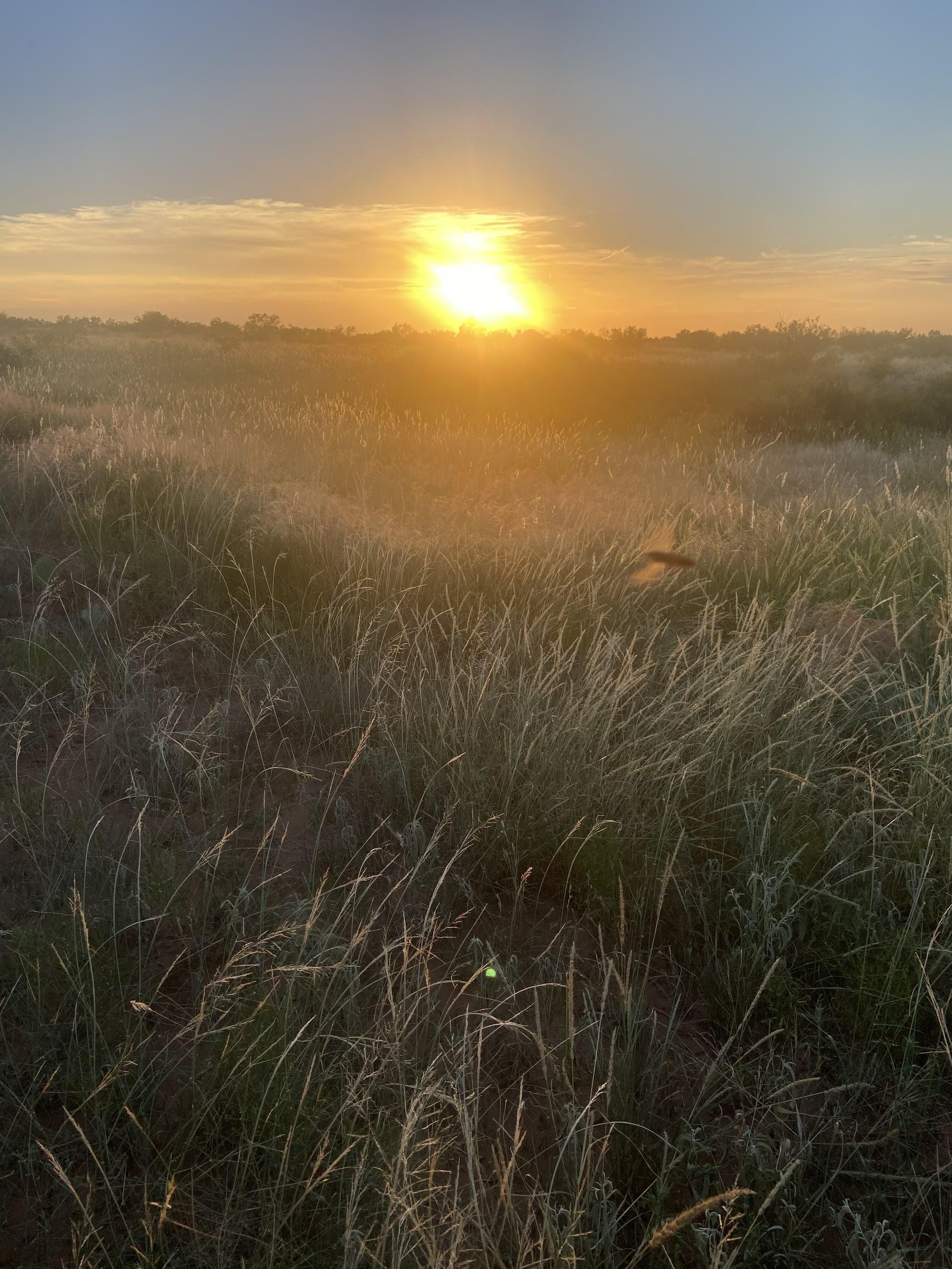 325 acres in Stonewall County, Texas