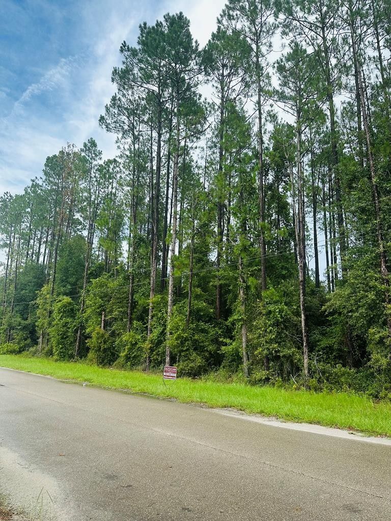 4.78 acres in Levy County, Florida