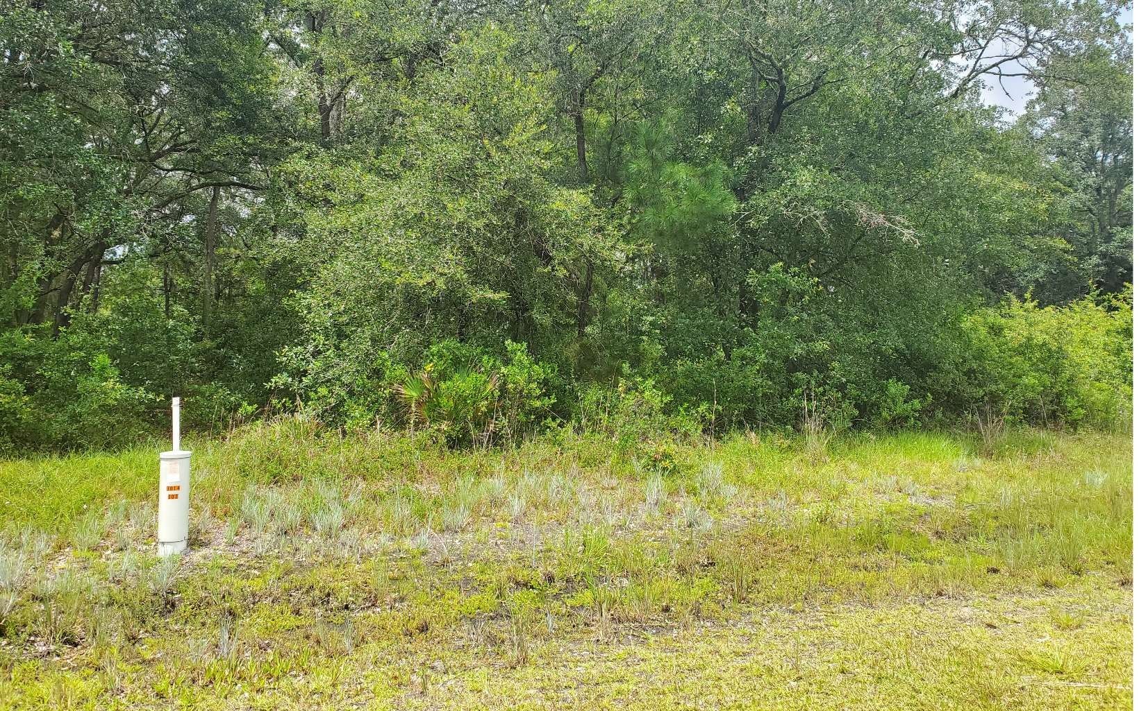 1.3 acres in Union County, Florida