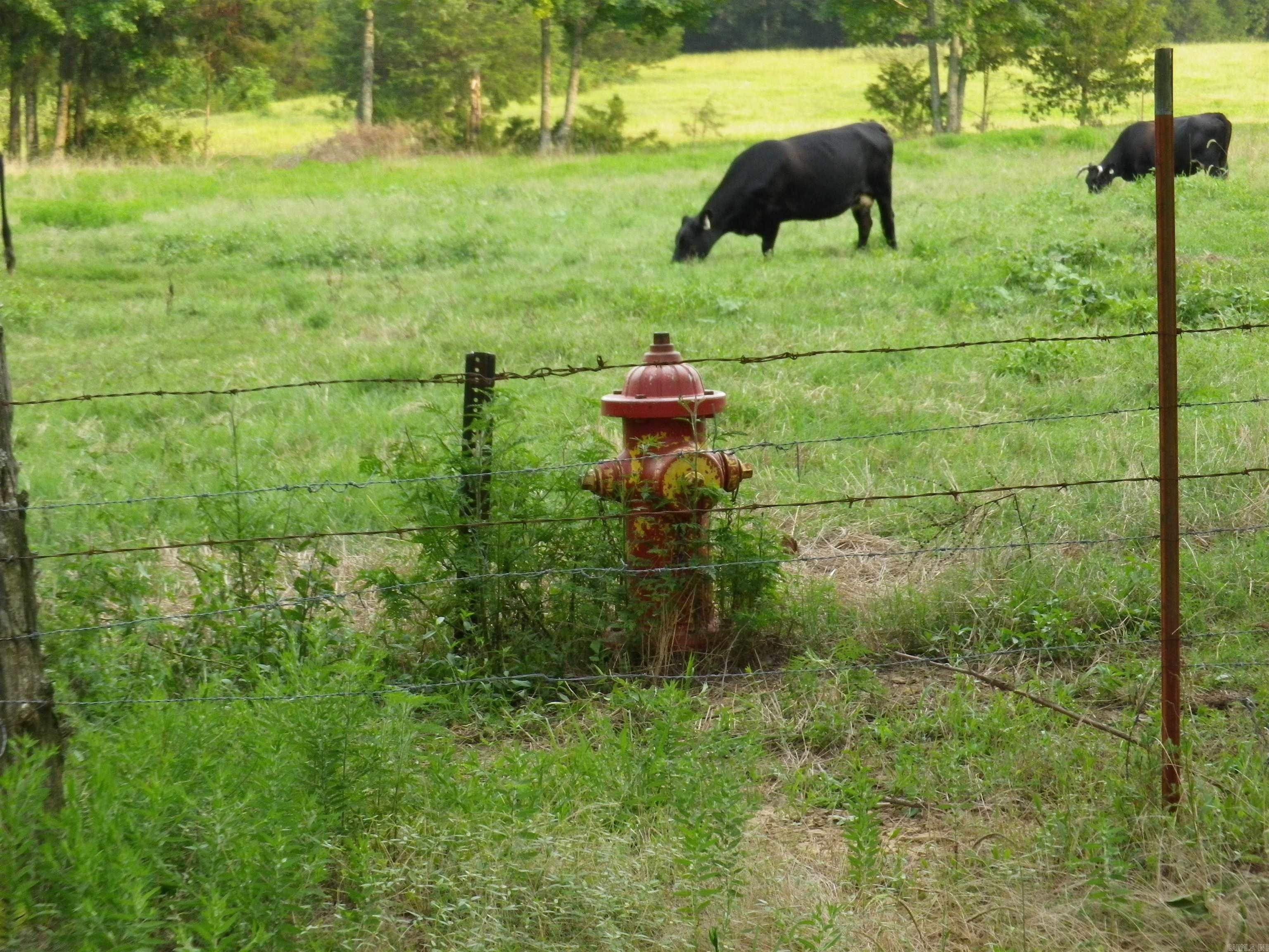 40 acres in Faulkner County, Arkansas