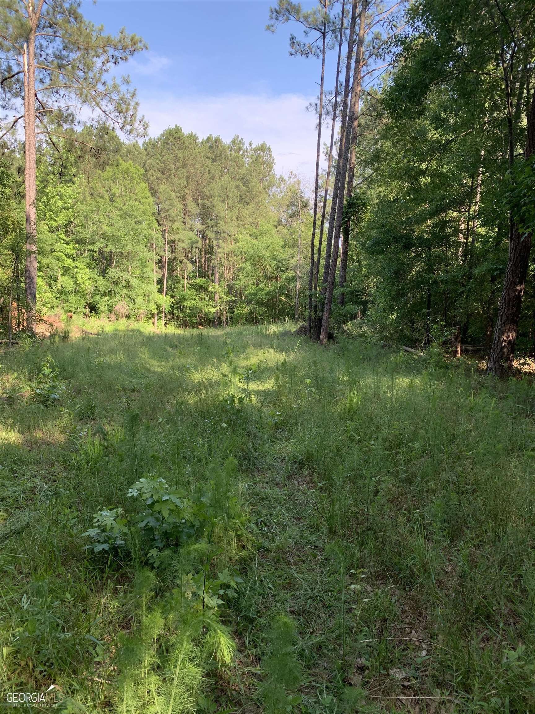 5.13 acres in Greene County,