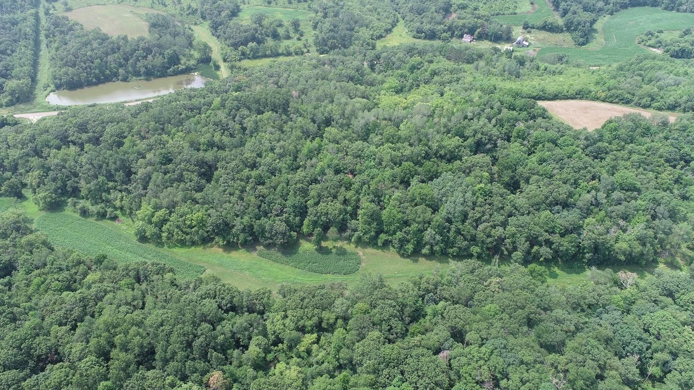 40 acres in Trempealeau County, Wisconsin