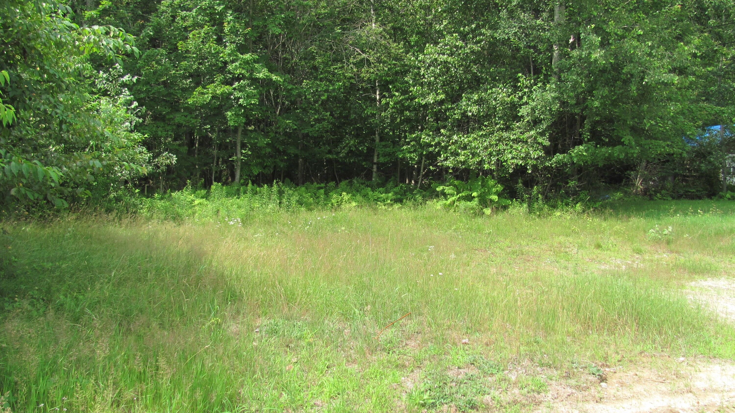 5 acres in Oxford County, Maine