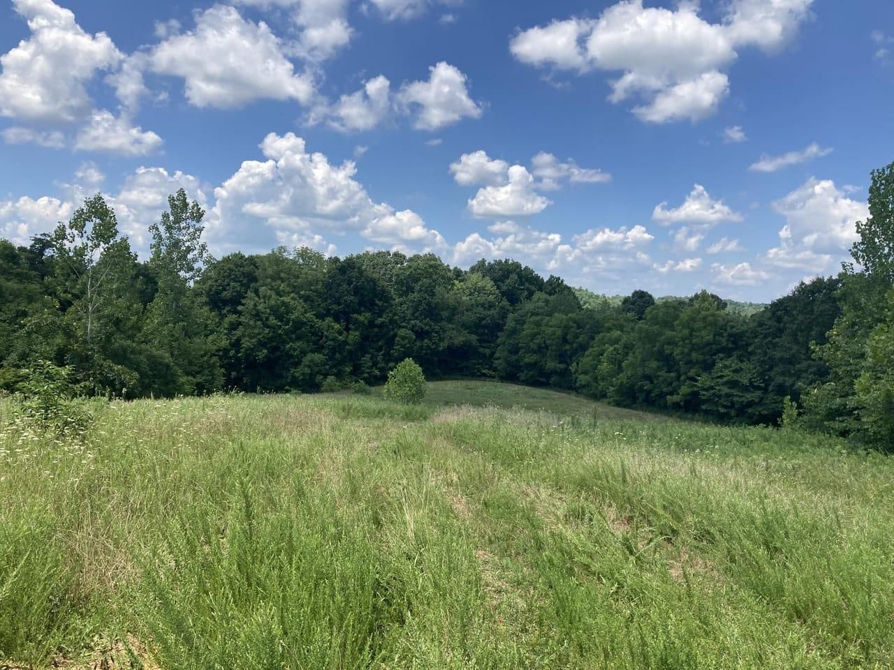 115 acres in Grayson County, Kentucky